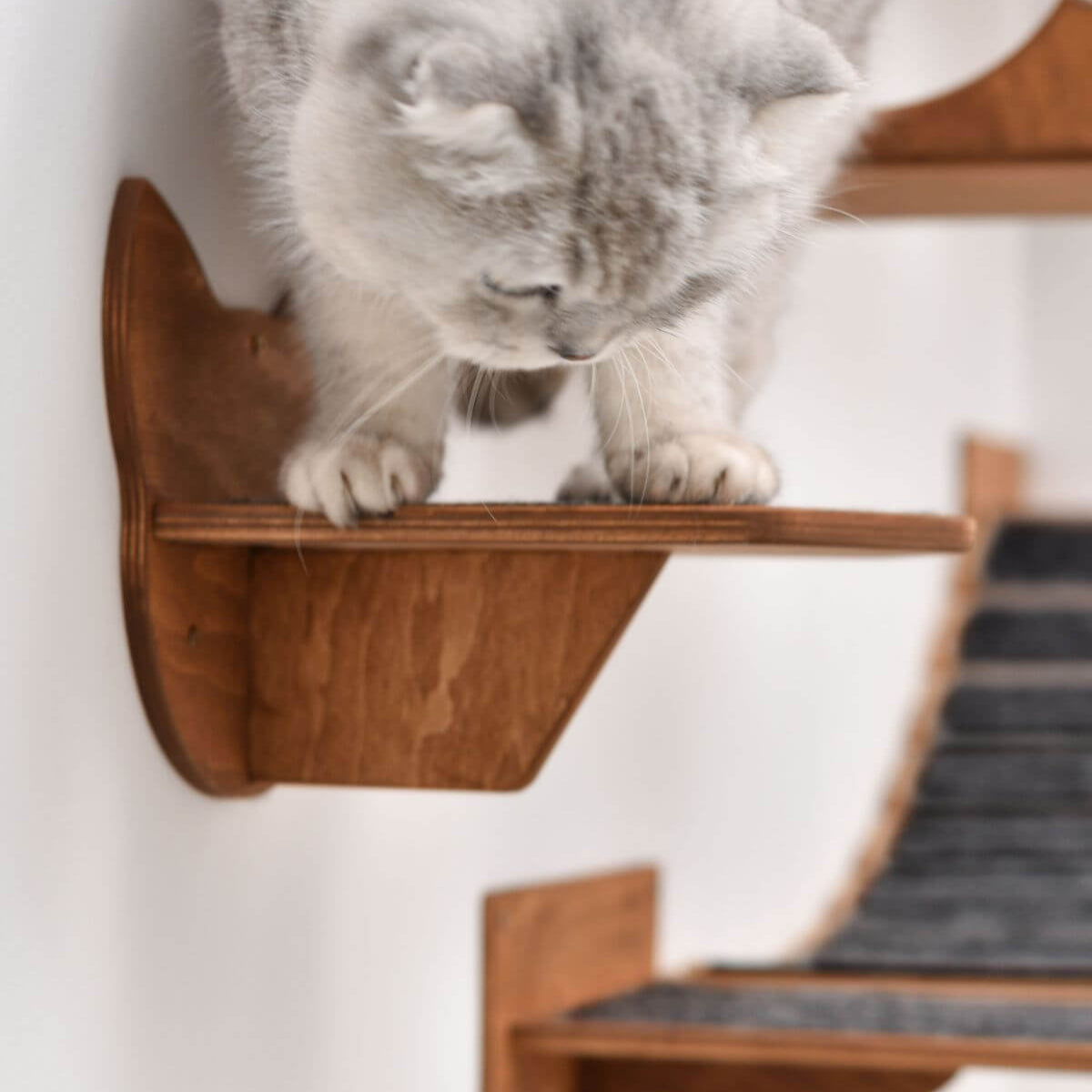 Wooden Decagon Platform - Oak
