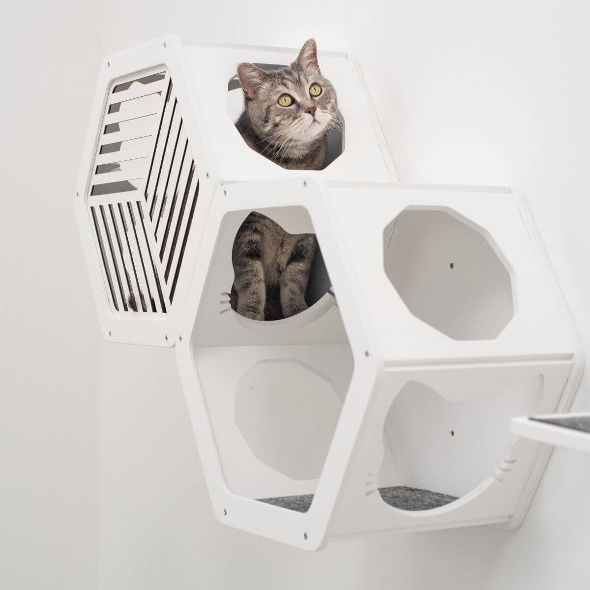 Cat Climbing Wall Shelves White