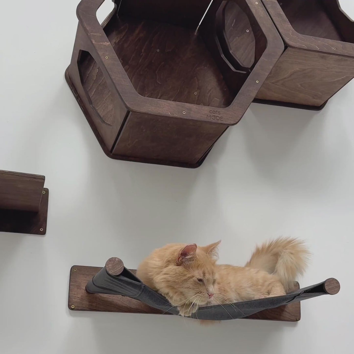 Wooden Cat Shelf Oak