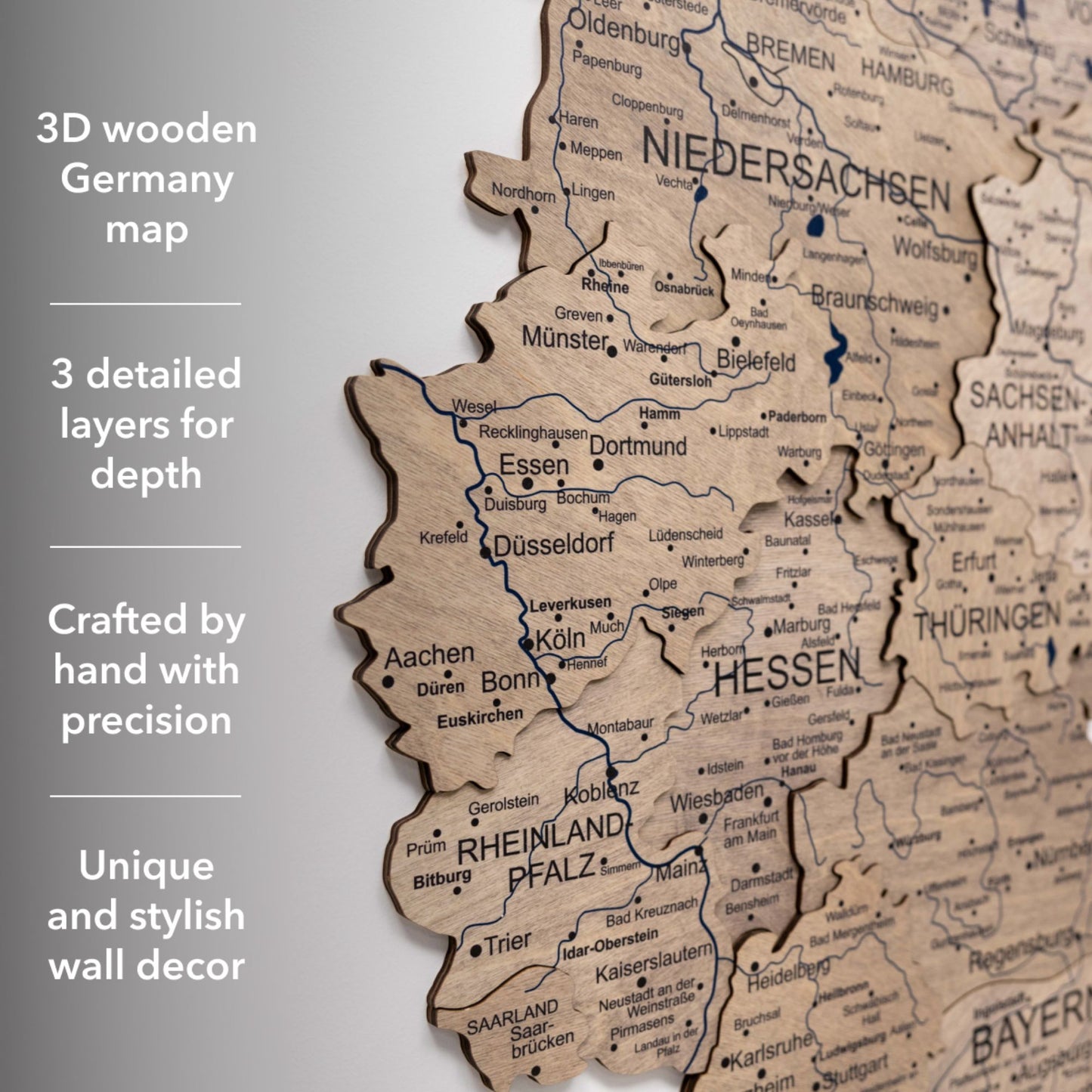 3D Germany Wooden Map Terra