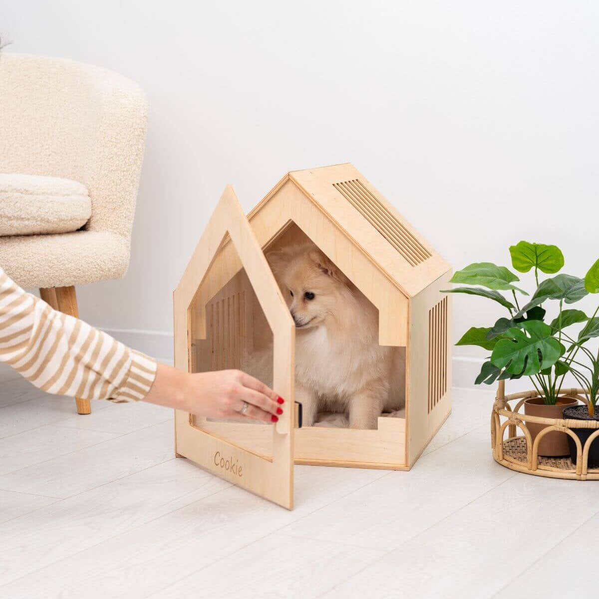 Small Indoor Dog House