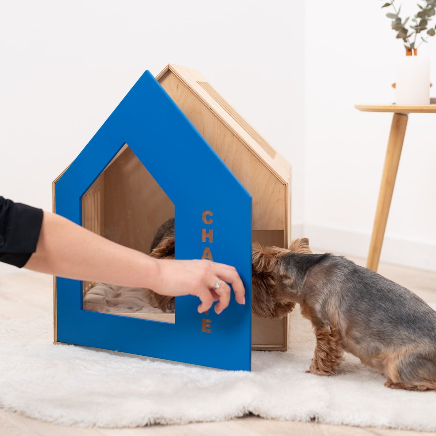 Booth-Style Wooden Dog House - Blue