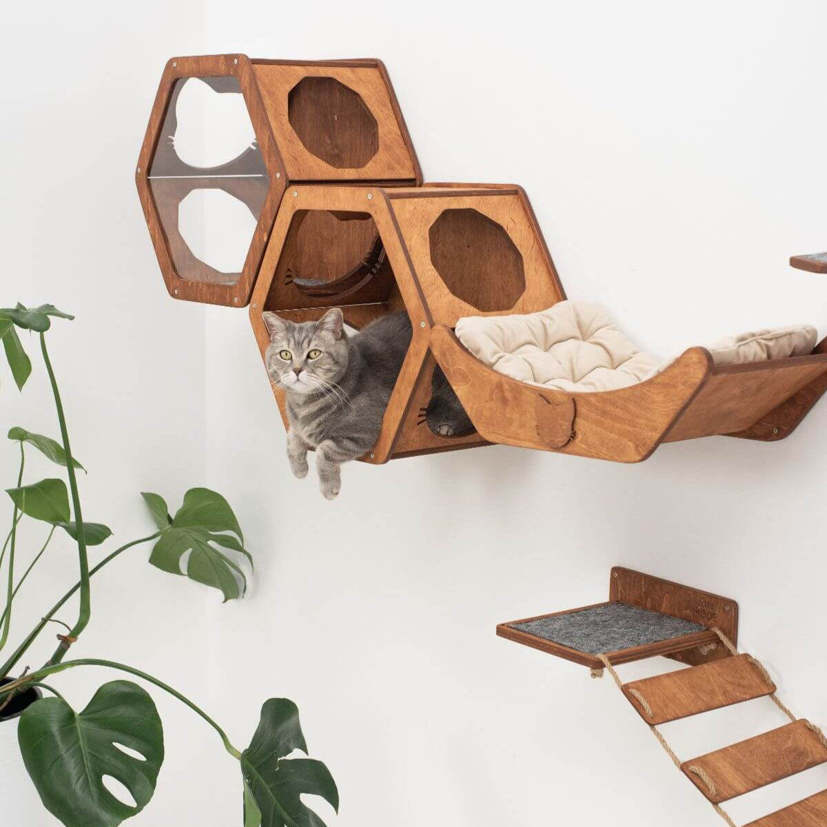 Wooden Cat Shelf Oak
