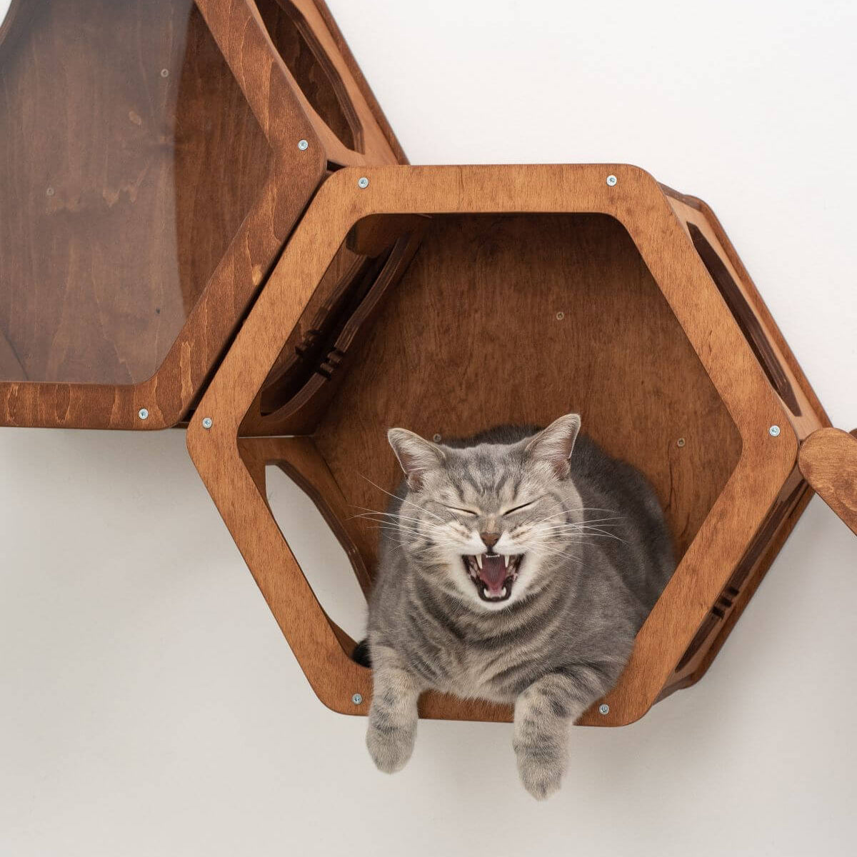 Wooden Cat Shelf Oak